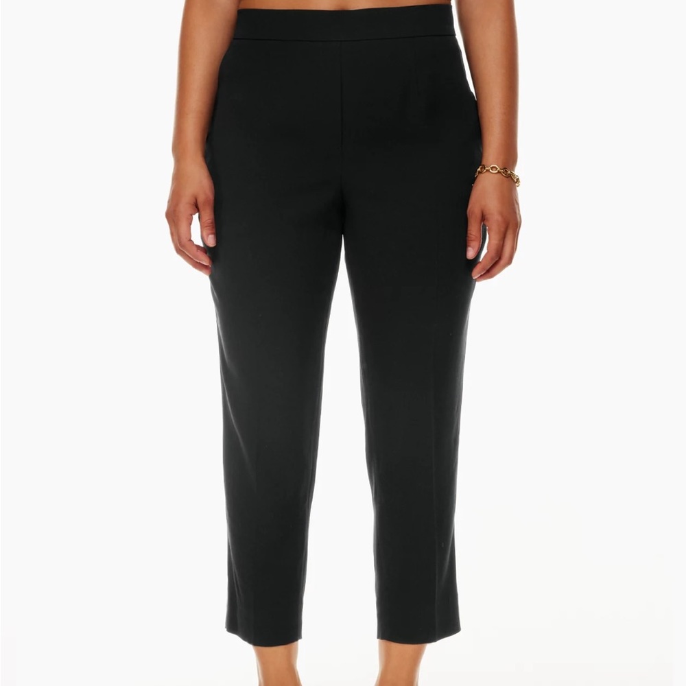 ARITZIA - Babaton Conan pants